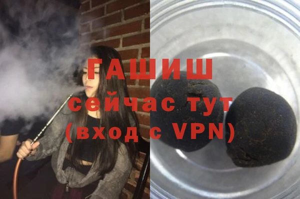стаф Пересвет