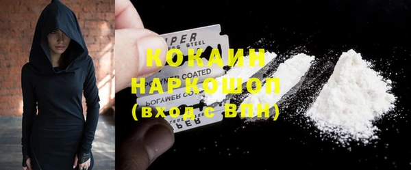 стаф Пересвет