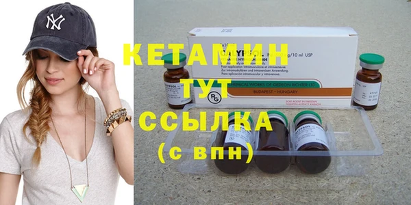 стаф Пересвет