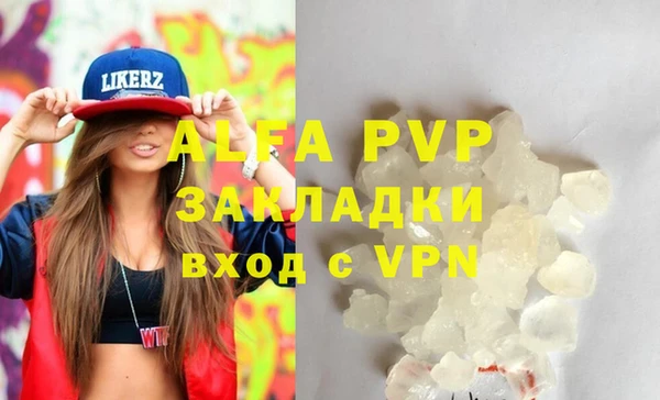 стаф Пересвет