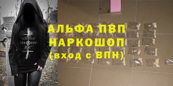 стаф Пересвет