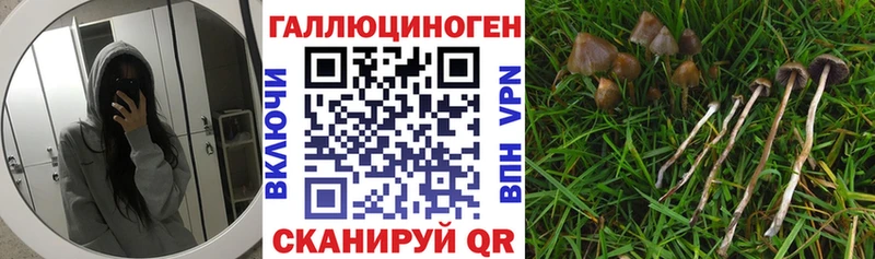 Псилоцибиновые грибы мухоморы  Купить закладки  Нязепетровск 